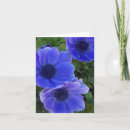 Suche nach anemonen karten Fotografie