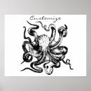 Suche nach cephalopod poster Meereslebewesen