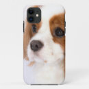 Suche nach king iphone hüllen Blenheim