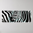 Suche nach donkey poster Animals