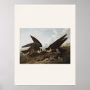 Suche nach audubon poster Vogel