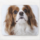 Suche nach studien mousepads Natur