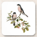 Suche nach lieder untersetzer Vögel