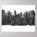 Suche nach winterbaum poster Himmel