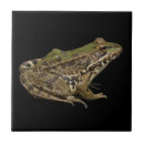 Suche nach frosch fliesen Braun