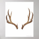 Suche nach mannschaftssport poster Olympia