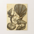 Suche nach muscheln puzzle Seesterne