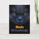 Suche nach humbug karten Katze
