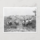 Suche nach vintage cowboys postkarten Pferd