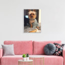 Suche nach yorkshire terrier leinwandbilder Yorkie