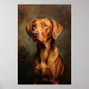 Suche nach vizsla poster Jagdhund