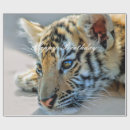 Suche nach wilde katze geschenkpapier Tiere