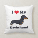 Suche nach ist wo meine dackel kissen Haustiere