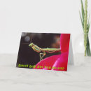Suche nach wanze karten Betender mantis