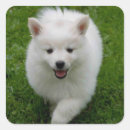 Suche nach eskimo aufkleber Hund
