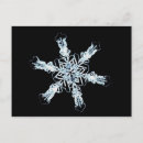 Suche nach wissenschaft postkarten Mikroskop