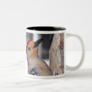 Suche nach vogelfeder kaffee tassen Natur