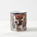 Suche nach jagdhund tassen Hunde