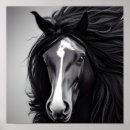 Suche nach friesian poster Schwarzes pferd
