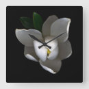 Suche nach magnolie wanduhren Pflanze