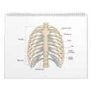 Suche nach biologie kalender Anatomie