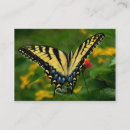 Suche nach gelber schmetterling visitenkarten Schmetterlinge