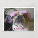 Suche nach englische bulldogge postkarten Entzückend