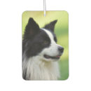 Suche nach border collie autozubehör Tier