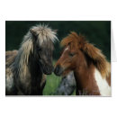 Suche nach berühren postkarten Pferd