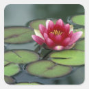 Suche nach seerose aufkleber Natur