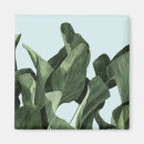 Suche nach palmen magnete Botanisch