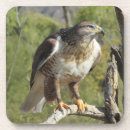 Suche nach falke untersetzer Raubvogel