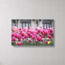 Suche nach rosa tulpe leinwandbilder Blume