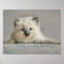 Suche nach flaumig poster Niedlich