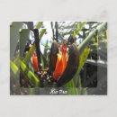 Suche nach auckland neuseeland postkarten Urlaub