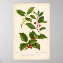 Suche nach heiliger baum poster Blume