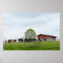 Suche nach rinder poster Weide