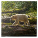 Suche nach krankheit fliesen Höhnisch