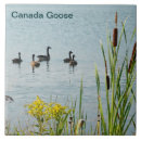 Suche nach gänse fliesen Tiere