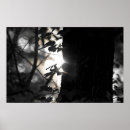 Suche nach magischer baum poster Natur