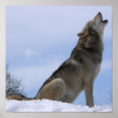 Suche nach wolf wild poster Winter