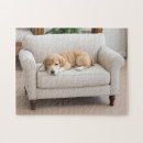 Suche nach golden retriever puzzle Tiere