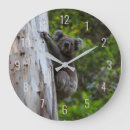 Suche nach koala wanduhren Australie