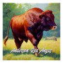 Suche nach angus poster Rind