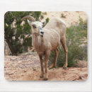 Suche nach wildtiere mousepads Fotografie