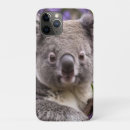 Suche nach koala iphone hüllen Australisch