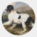 Suche nach edwin aufkleber Hund