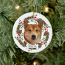 Suche nach shiba inu ornamente Verzierung