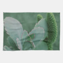 Suche nach stillleben geschirr tücher Botanisch