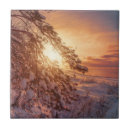 Suche nach schnee fliesen Baum